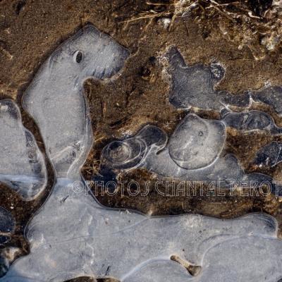 Gouttes, neige et glace - 